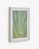 Lyn picture with green aloe 50 x 70 cm