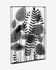 Denecia metal picture 61 x 81 cm